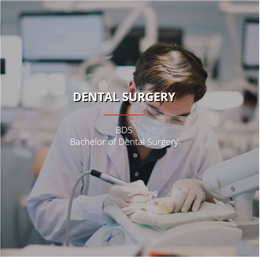 Bachelor of Dental Surgery (BDS) | European University Cyprus
